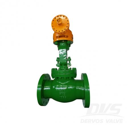 Globe Valve