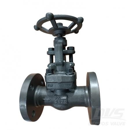 Globe Valve