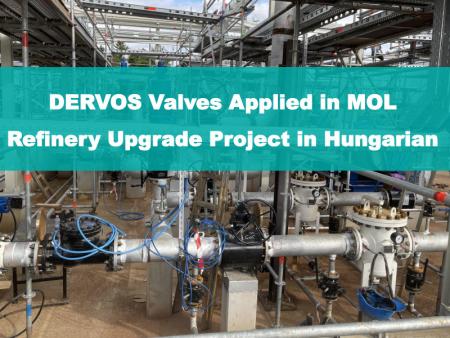 ball valve and check valve replacement