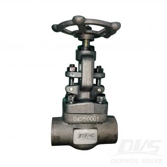 1/2 PN160 단조 강철 글로브 밸브, FNPT, 본체 A105N, API602