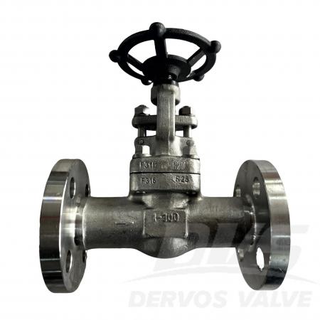 API602 Stainless Steel Globe Valve
