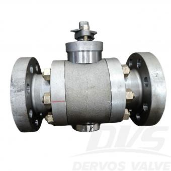 다섯 개의 백성 중 하나