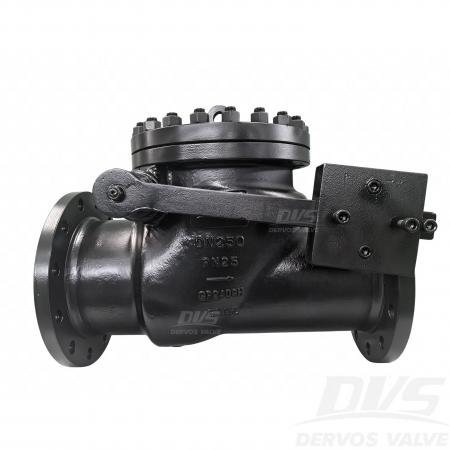 주강 스윙 체크 밸브 DN250 PN25 GP240GH EN 14341