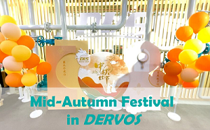 Mid-Autumn Festival in DERVOS