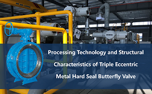 Triple Eccentric Metal Hard Seal Butterfly Valve의 가공기술 및 구조적 특성 원문보기 KCI 원문보기 인용