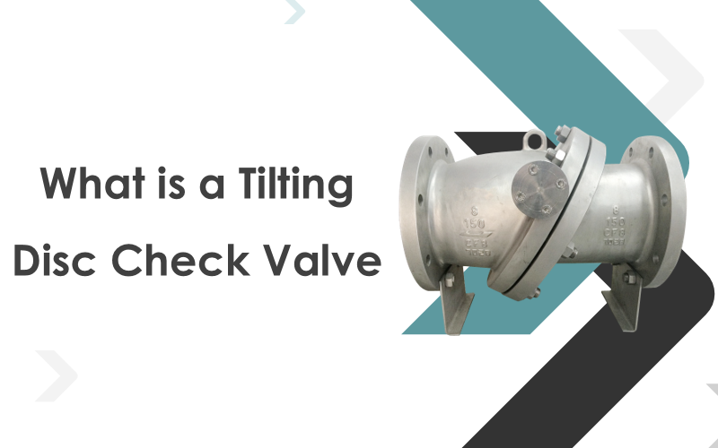 What is a Tilting Disc Check Valve?